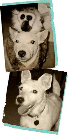 Cosmo and Tiffany