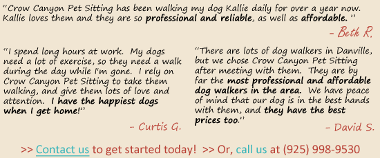 Client testimonials for dog walking Danville, CA