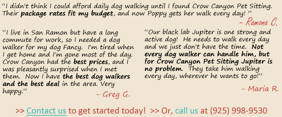 Client testimonials for dog walking in San Ramon, CA